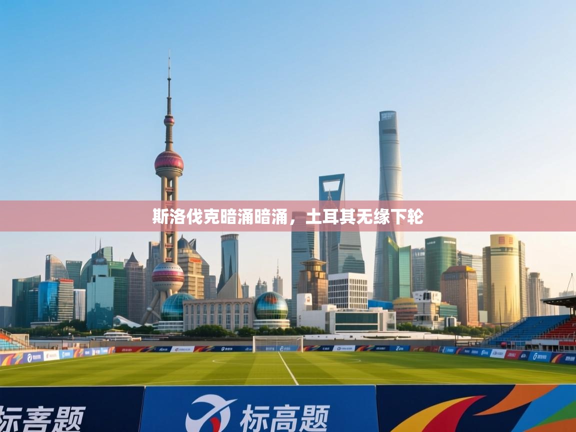 斯洛伐克暗涌暗涌,土耳其无缘下轮 第2张