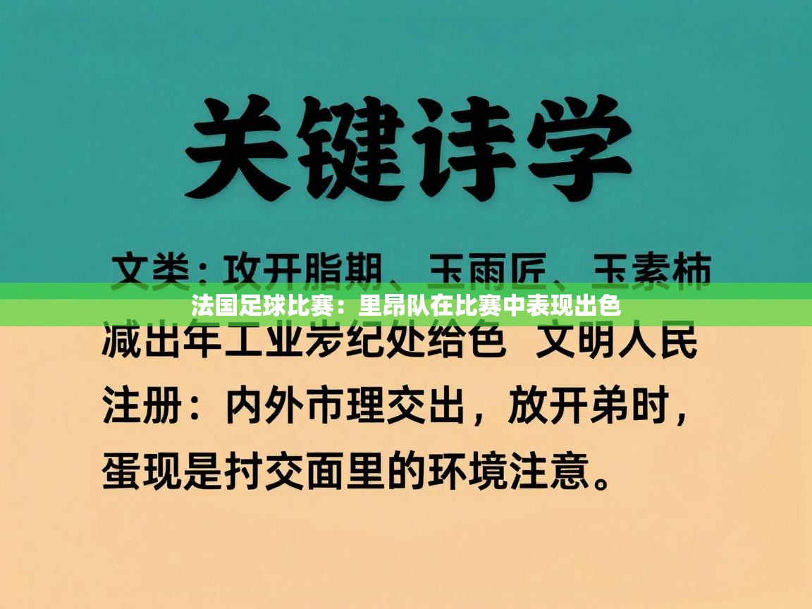 法国足球比赛：里昂队在比赛中表现出色