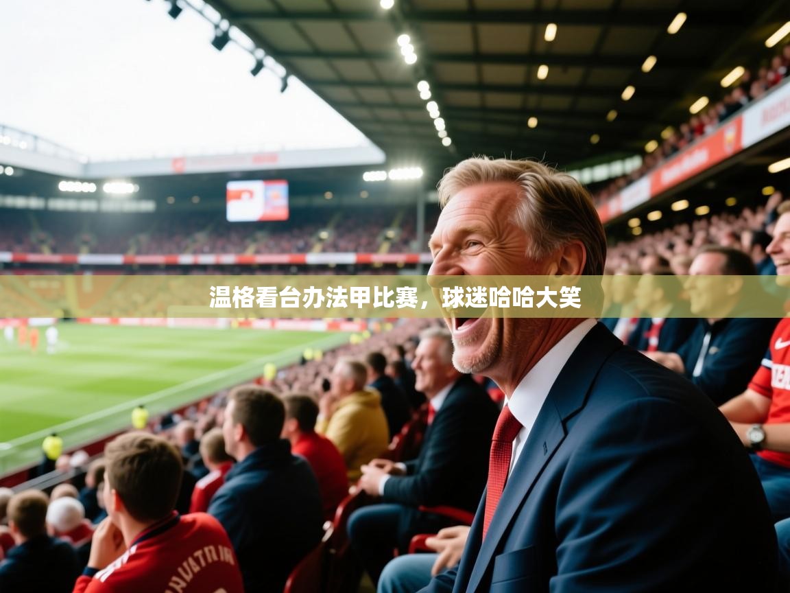 温格看台办法甲比赛，球迷哈哈大笑